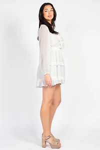 Flirty Ruffle Trim Open Back Mini Dress
