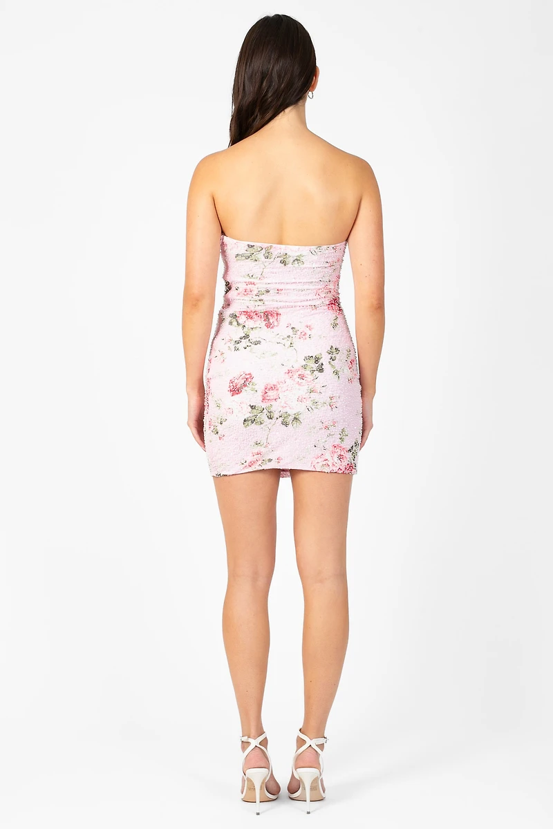 Posey Mesh Ruched Floral Mini Dress