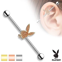 316L Surgical Sand Paper Playboy Straight Industrial Barbell