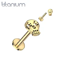 Implant Grade Titanium Gold PVD Skull Internally Threaded Flat Back Labret