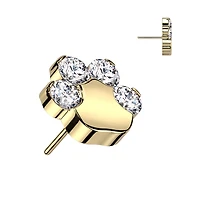 Implant Grade Titanium Gold PVD Paw Print White CZ Threadless Push In Labret