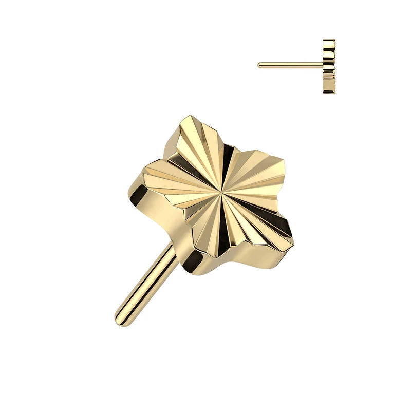 Implant Grade Titanium Gold PVD Ridged Star Threadless Push In Labret