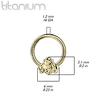 Implant Grade Titanium Gold PVD Bee Daith Septum Hinged Clicker Hoop
