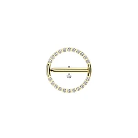 Implant Grade Titanium Gold PVD White CZ Hinged Clicker Nipple Shield
