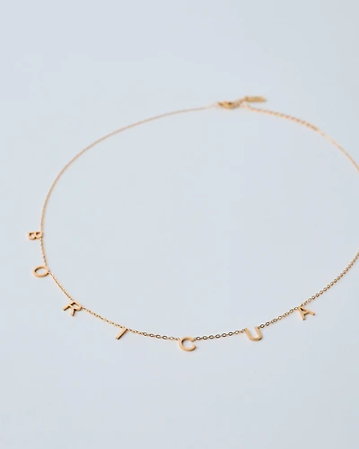 18K Plated BORICUA Necklace