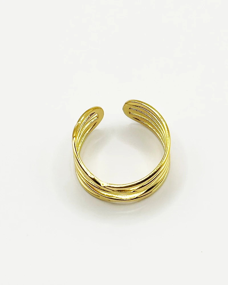 18K Plated Rich Ring