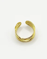 18K Plated Rich Ring