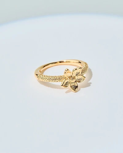 16K Plated Minka Ring