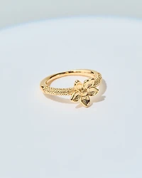 16K Plated Minka Ring