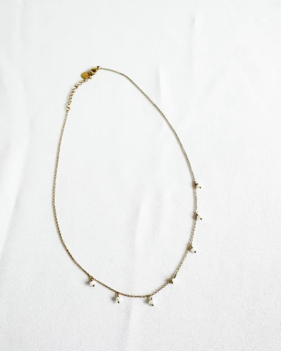 18K Plated Rakesh Necklace