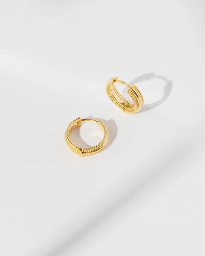 18K Plated Delyn Earrings