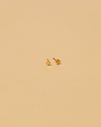 18K Plated Ace Earrings