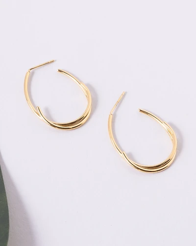 18K Plated Zoomer Earrings