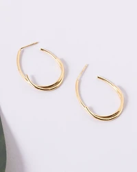 18K Plated Zoomer Earrings
