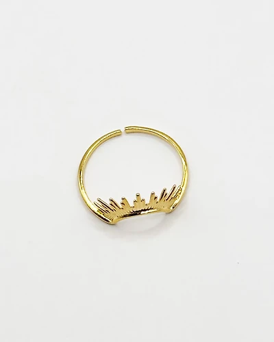 16K Plated Burst Ring