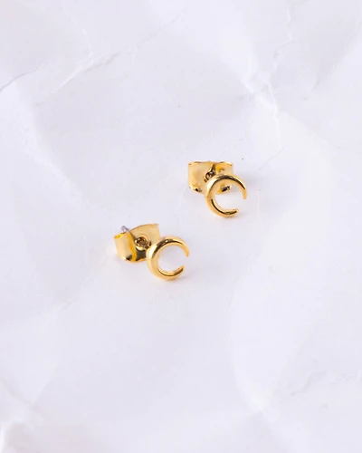 18K Plated Helen Earrings