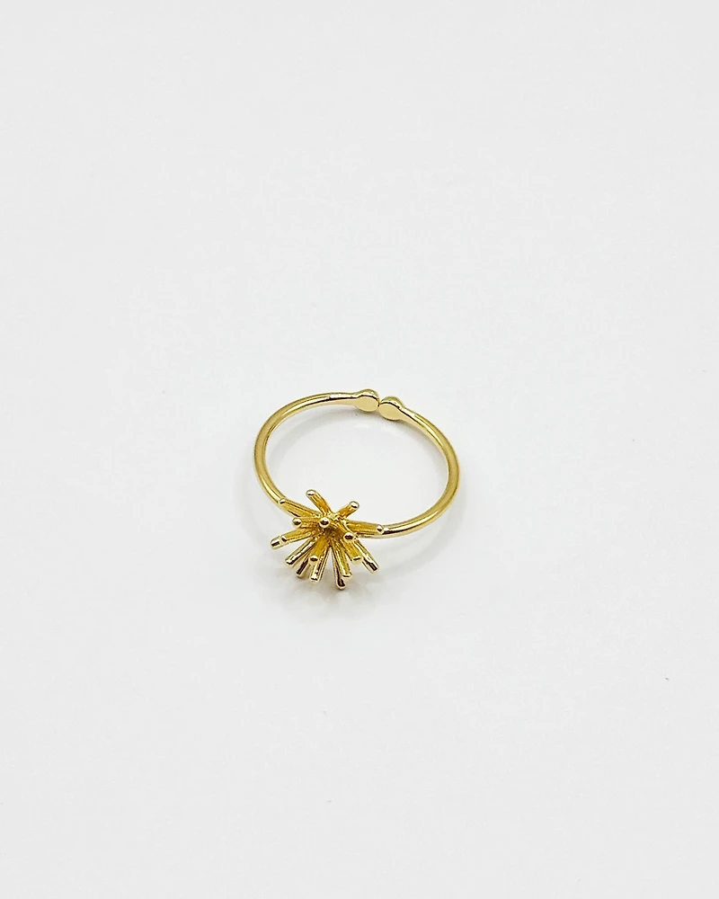 16K Plated Sensei Ring