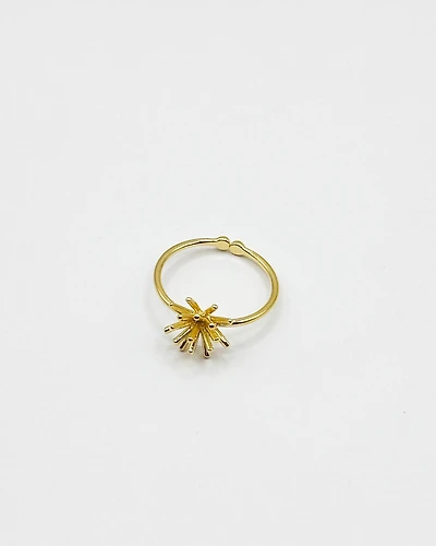 16K Plated Sensei Ring