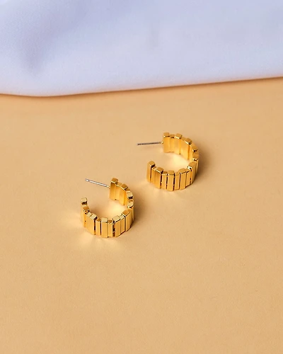 18K Plated Ferrum Earrings