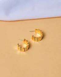 18K Plated Ferrum Earrings