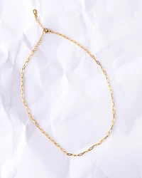 18K Plated Alkemie Chain