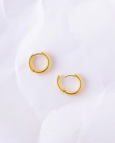 18K Plated Billie Hoops