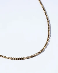 18K Plated David Chain Necklace