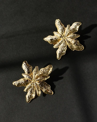 18K Plated Expo Earrings