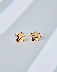 16K Plated Amapola Earrings