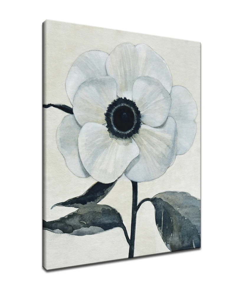Ready2HangArt, 'Elegant Poppy Ii' White Floral Canvas Wall Art, 30x20"