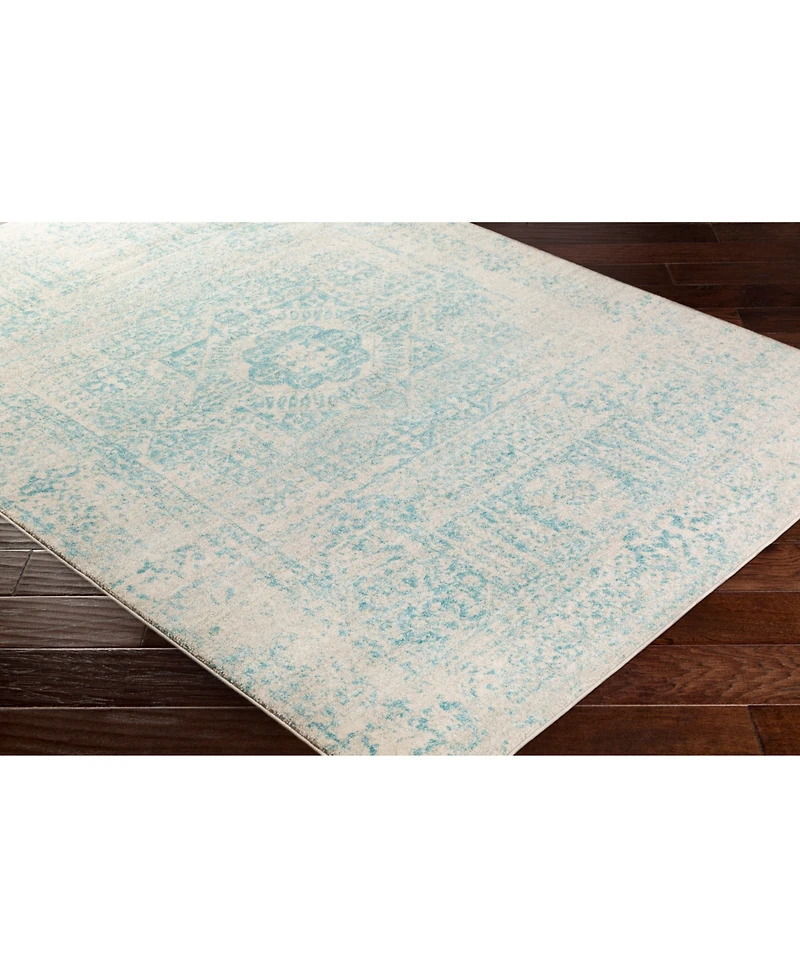 Livabliss Harput Hap-1026 Teal 2'7" x 7'3" Area Rug