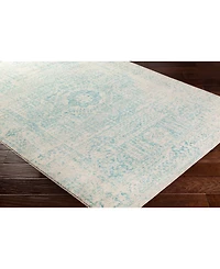 Livabliss Harput Hap-1026 Teal 2'7" x 7'3" Area Rug