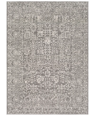 Livabliss Harput Hap-1029 Gray 2' x 3' Area Rug