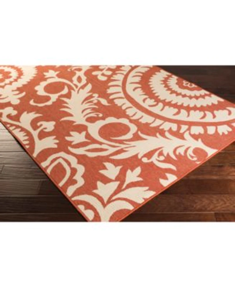 Livabliss Alfresco Alf 9613 Rust Area Rug Collection