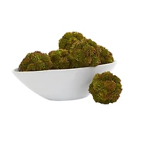 Nearly Natural 4-In. Sedum Artificial Succulent Artificial Spheres, Set of 6