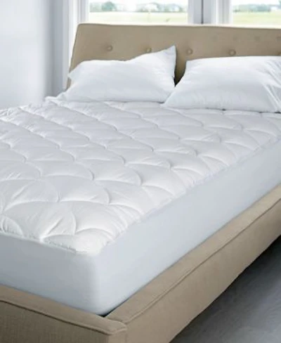 Blue Ridge Dual Action 100 Cotton Damask Dot Mattress Pads