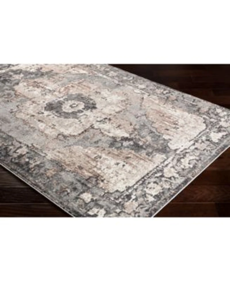 Livabliss Chelsea Csa 2304 Charcoal Area Rug Collection
