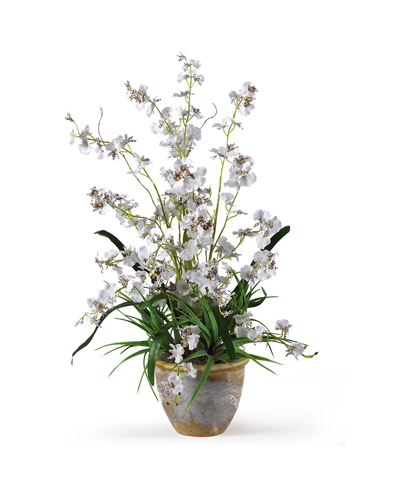 Nearly Natural Dancing Lady Silk Orchid Arrangement