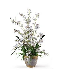 Nearly Natural Dancing Lady Silk Orchid Arrangement