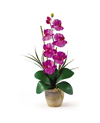 Nearly Natural Phalaenopsis Silk Orchid Flower Arrangement