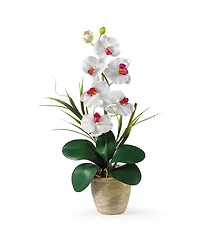 Nearly Natural Phalaenopsis Silk Orchid Flower Arrangement