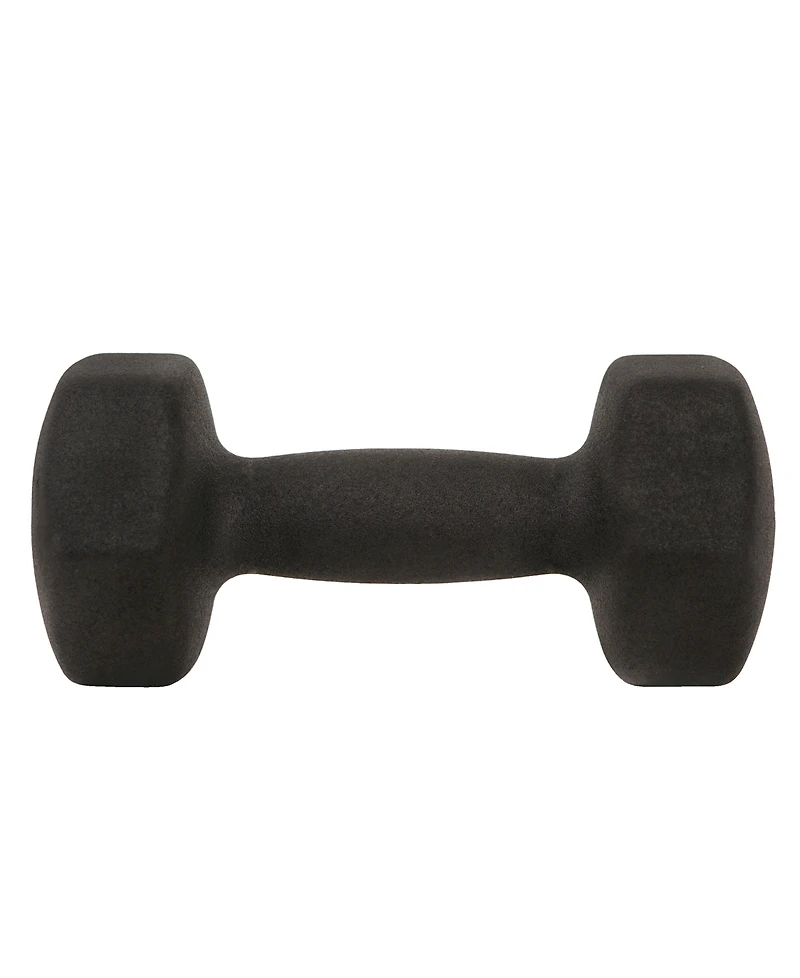 Sunny Health & Fitness Neoprene Dumbbell, 10LBs (Pair)