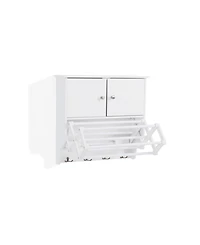 Danya B Wall Mount Drying Rack with Cabinet