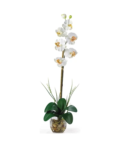 Nearly Natural Single Phalaenopsis Liquid Illusion Silk Flower Arrangement
