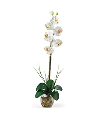 Nearly Natural Single Phalaenopsis Liquid Illusion Silk Flower Arrangement
