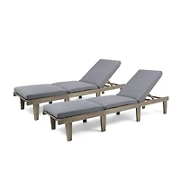 Ariana Outdoor Chaise Lounge, Set of 2
