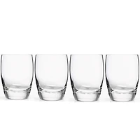 Luigi Bormioli Michelangelo 9 oz. Juice Glasses, Set of 4
