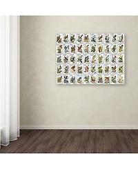 Vintage Apple Collection '50 Birds' Canvas Art - 14" x 19"