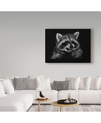 Geraldine Aikman 'Racoon' Canvas Art - 19" x 14"