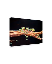 Deborah Broughton Frog Froggie hood Canvas Art - 19.5" x 26"